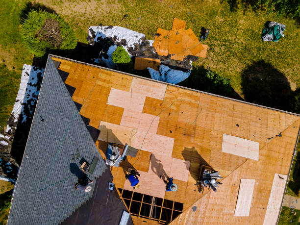 Best Roof Gutter Cleaning  in Oroville East, CA