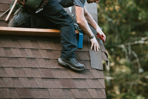 Best Roof Gutter Cleaning  in Oroville East, CA